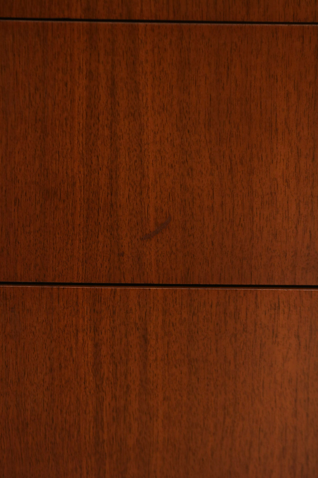 View of closed door panels showing alignment and consistent grain