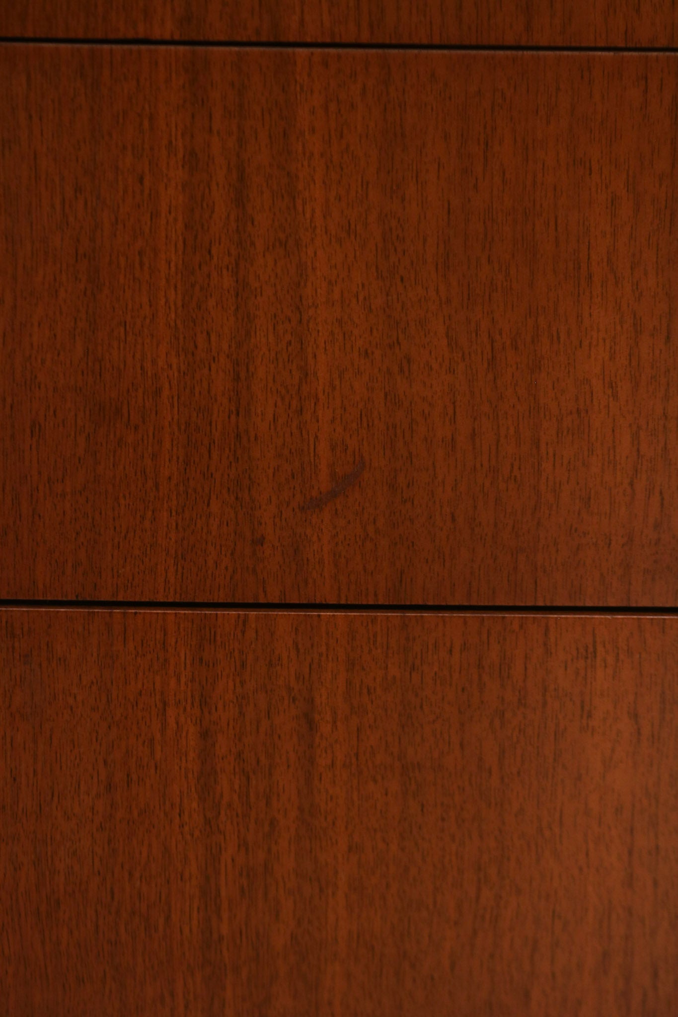 View of closed door panels showing alignment and consistent grain