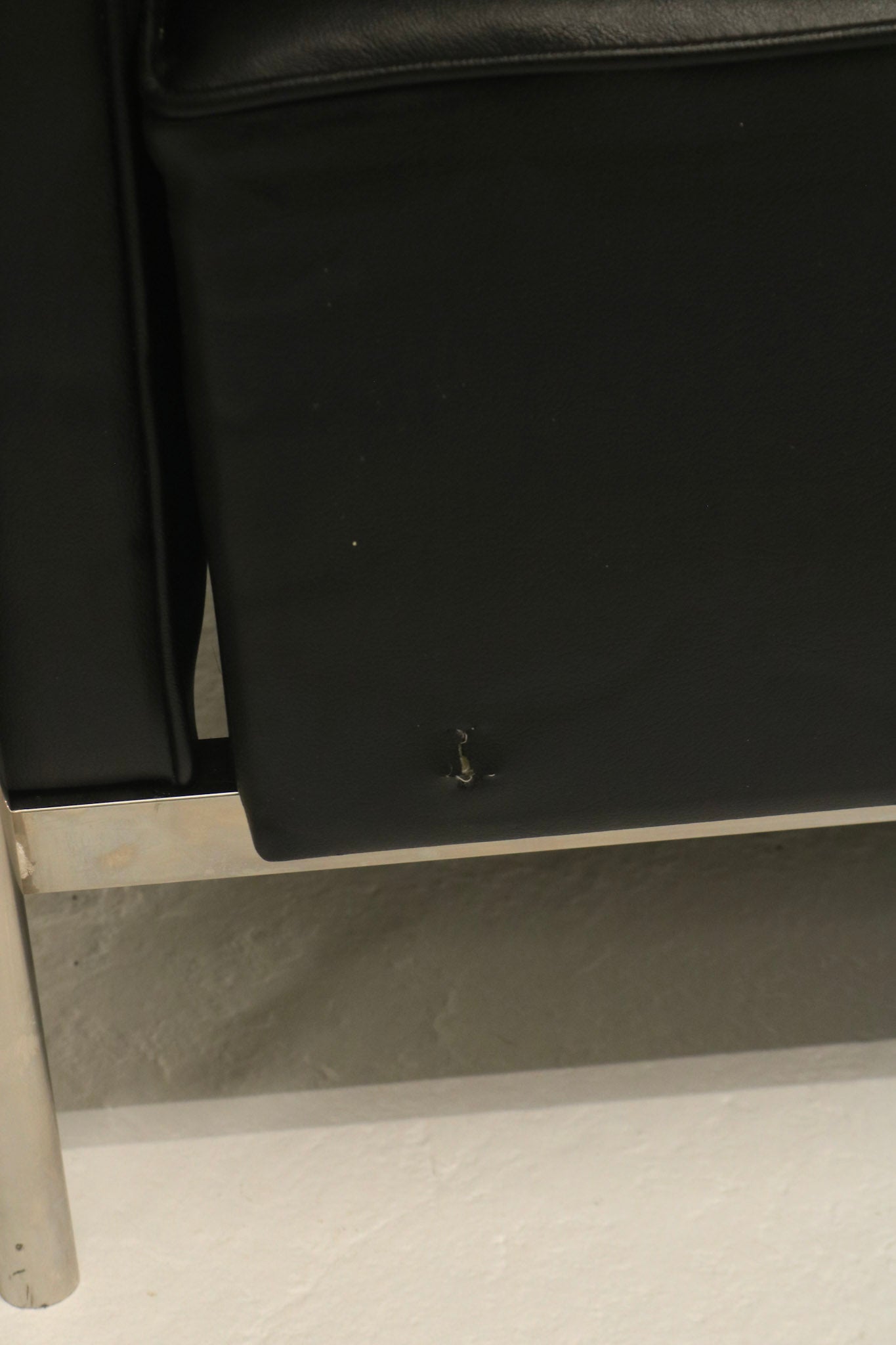 7 IMG_3919