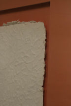 5-IMG_6179