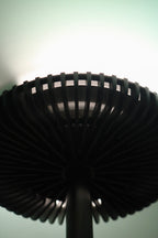 Top-down detail of lamp head focusing on its glass form and open lighting design