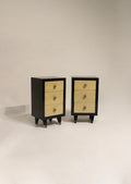 Vintage Sieling Modern wooden furniture set