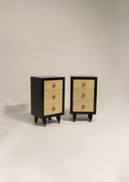 Vintage Sieling Modern wooden furniture set