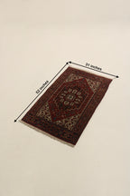 SIZE-8-IMG_5618
