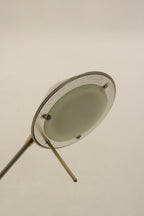 1-IMG_4973