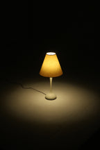 1-IMG_9812