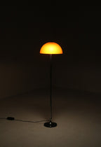 6-IMG_9993