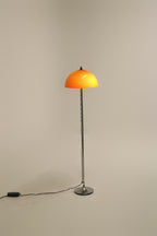 MAIN-7-IMG_9984